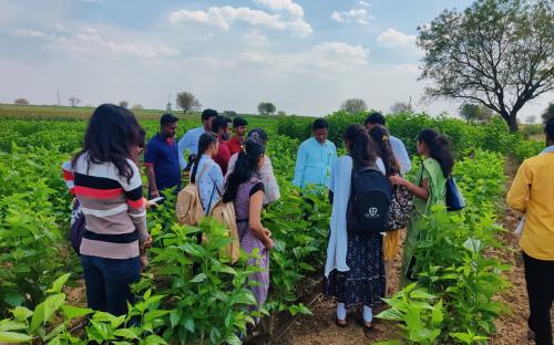 One day Education tour visit to Sericulture farm.