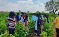 One day Education tour visit to Sericulture farm.